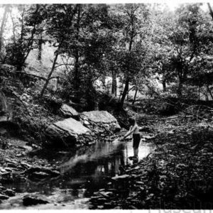 Meet your Posher, Ellen